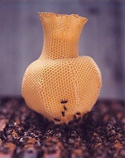 Coolest Idea: Honeycomb Vase